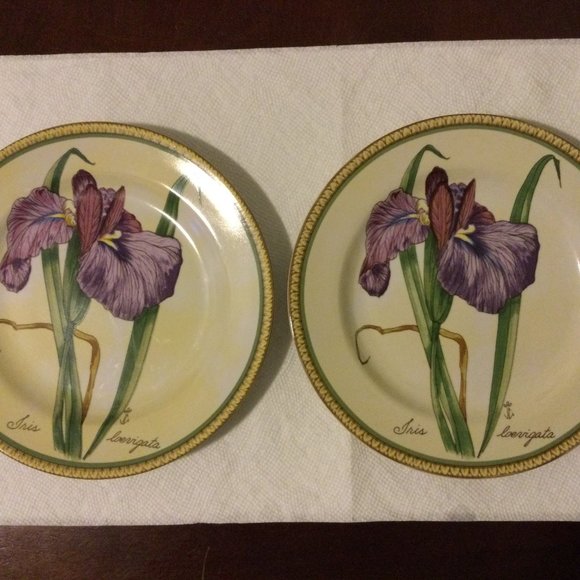 2 American Atelier Botanical Salad dessert plates stoneware floral purple - Picture 1 of 4